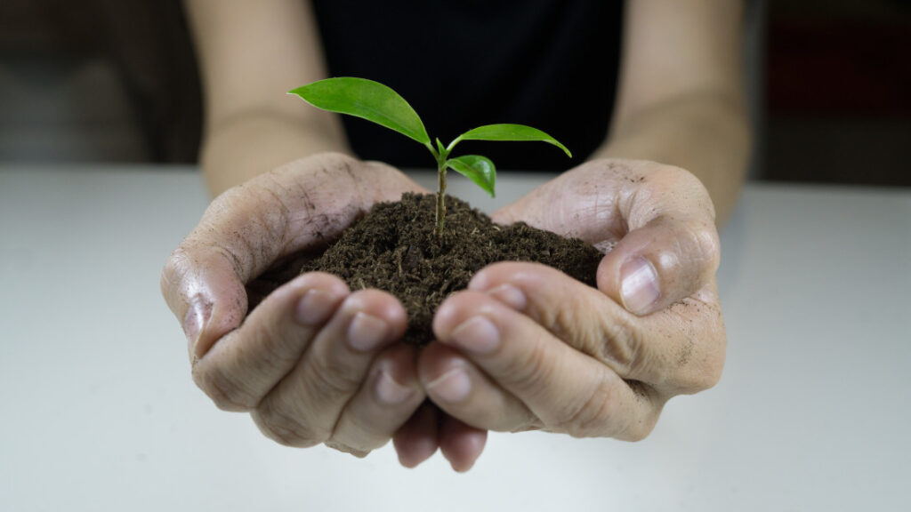 Responsabilidade social empresarial - Mão com uma planta